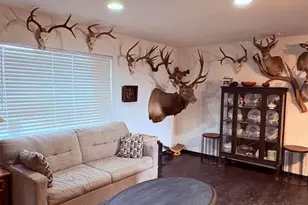 1B County Road 8285, Concho, AZ 85924 - Photo 9