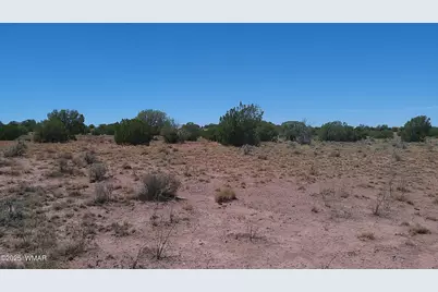 Tbd Ranch Of The White Mountains10, Concho, AZ 85924 - Photo 11