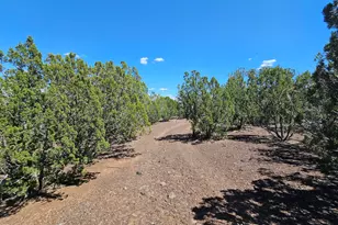 1259 Kb Ranch Rd, Show Low, AZ 85901 - Photo 1
