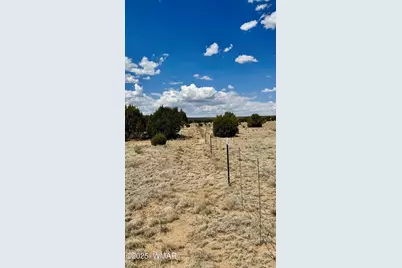 17 County Road N8034, Concho, AZ 85924 - Photo 19