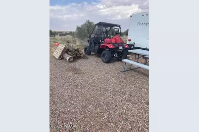 6035 Mesa View Drive, Heber, AZ 85928 - Photo 3