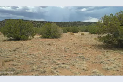 2716 Zaidee Road, Show Low, AZ 85901 - Photo 21