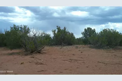 2716 Zaidee Road, Show Low, AZ 85901 - Photo 13