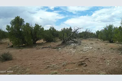 2716 Zaidee Road, Show Low, AZ 85901 - Photo 17