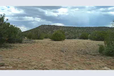 2716 Zaidee Road, Show Low, AZ 85901 - Photo 1