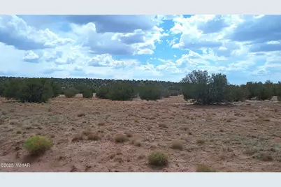 2716 Zaidee Road, Show Low, AZ 85901 - Photo 29