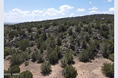 5 County Road, Concho, AZ 85924 - Photo 9