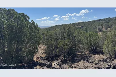 5 County Road, Concho, AZ 85924 - Photo 15