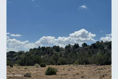 5 County Road, Concho, AZ 85924 - Photo 13