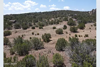 5 County Road, Concho, AZ 85924 - Photo 7