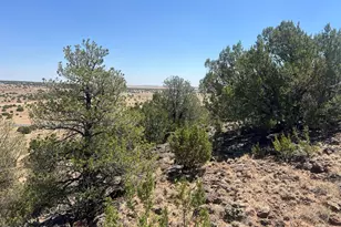 5 County Rd, Concho, AZ 85924 - Photo 1