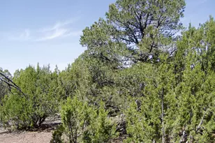Lot 11 Uphill Trail, Vernon, AZ 85940 - Photo 1