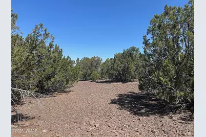 Lot 11 Uphill Trail, Vernon, AZ 85940 - Photo 15