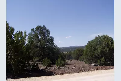 Lot 11 Uphill Trail, Vernon, AZ 85940 - Photo 13