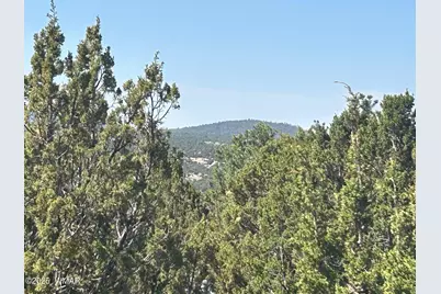 Lot 11 Uphill Trail, Vernon, AZ 85940 - Photo 3