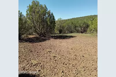 Tbd County Road 3193 Lot 258, Vernon, AZ 85940 - Photo 3