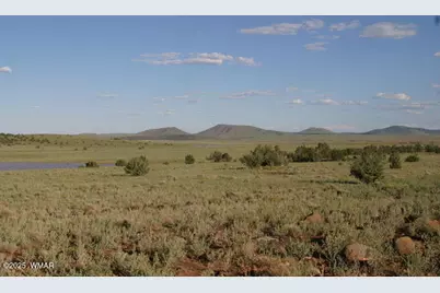 Lot 55 Concho Lakeland, Concho, AZ 85924 - Photo 3