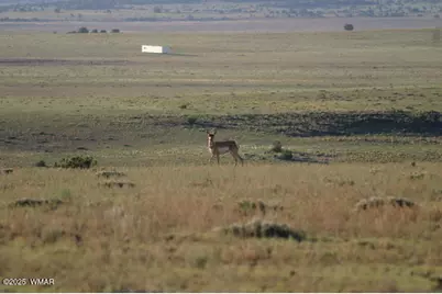 Tbd 107-28-055A, Concho, AZ 85924 - Photo 1