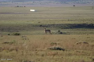 Tbd 107-28-055A, Concho, AZ 85924 - Photo 1