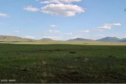 Lot 55 Concho Lakeland, Concho, AZ 85924 - Photo 1