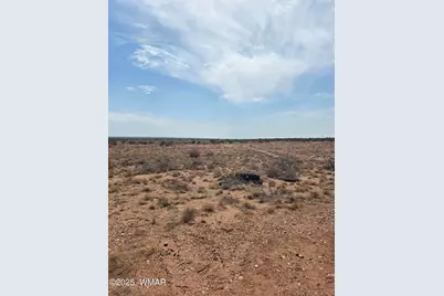 8317 Buckskin Trail, Snowflake, AZ 85937 - Photo 11