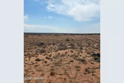 8317 Buckskin Trail, Snowflake, AZ 85937 - Photo 5