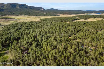 15 Co Rd 2083, Alpine, AZ 85920 - Photo 13