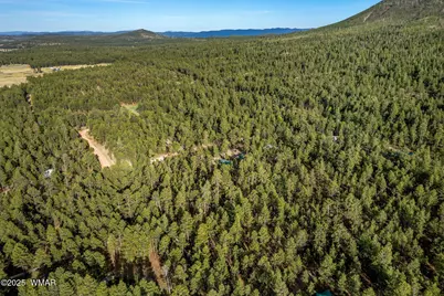 15 Co Rd 2083, Alpine, AZ 85920 - Photo 11