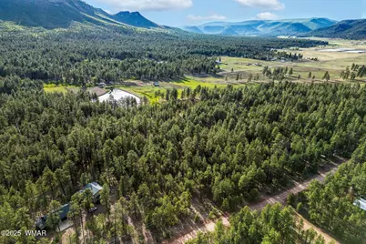 15 Co Rd 2083, Alpine, AZ 85920 - Photo 7