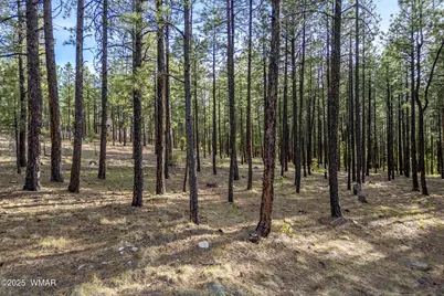 15 Co Rd 2083, Alpine, AZ 85920 - Photo 5