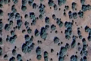 16 County Road 8136, Concho, AZ 85924 - Photo 1