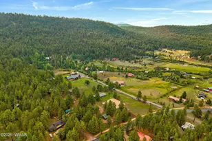 51 Main St, Greer, AZ 85927 - Photo 69