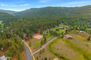 51 Main St, Greer, AZ 85927 - Photo 67