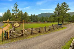 51 Main St, Greer, AZ 85927 - Photo 9