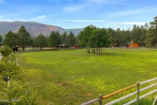 51 Main St, Greer, AZ 85927 - Photo 65