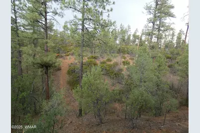 6356 Draco Drive, Lakeside, AZ 85929 - Photo 45