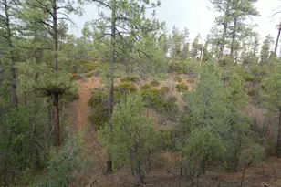 6356 Draco Dr, Lakeside, AZ 85929 - Photo 45