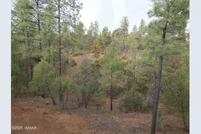 6356 Draco Drive, Lakeside, AZ 85929 - Photo 43