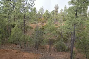 6356 Draco Dr, Lakeside, AZ 85929 - Photo 43