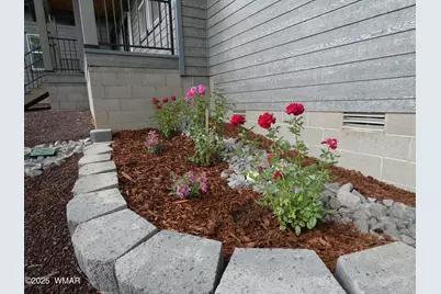 6356 Draco Drive, Lakeside, AZ 85929 - Photo 9