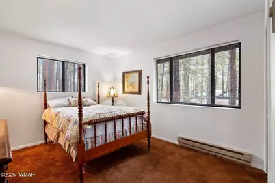 4 County Road 2089, Alpine, AZ 85920 - Photo 9