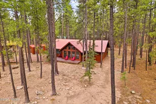 4 Co Rd 2089, Alpine, AZ 85920 - Photo 33