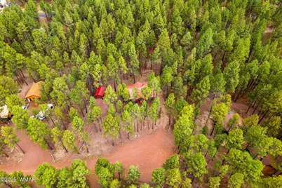 4 County Road 2089, Alpine, AZ 85920 - Photo 35