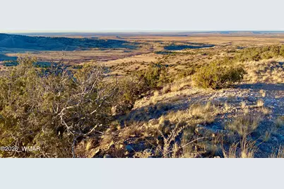 Tbd Co Rd 5062 2.39 Acres, Concho, AZ 85924 - Photo 17
