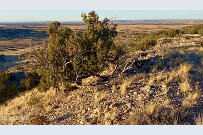 Tbd Co Rd 5062 2.39 Acres, Concho, AZ 85924 - Photo 11