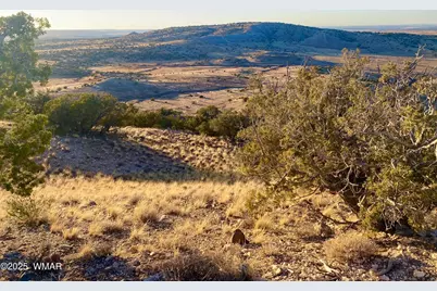 Tbd Co Rd 5062 2.39 Acres, Concho, AZ 85924 - Photo 21