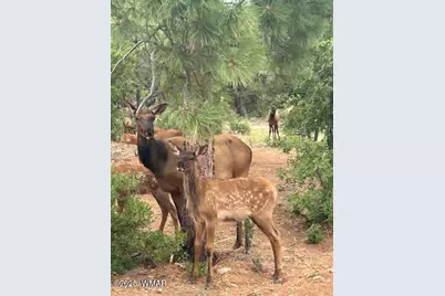 1901 S Little Creek Court, Show Low, AZ 85901 - Photo 7