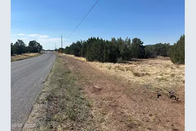 Lot 2 Stanford Drive, Vernon, AZ 85940 - Photo 11