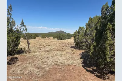 Lot 2 Stanford Drive, Vernon, AZ 85940 - Photo 9