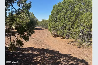 Lot 2 Stanford Drive, Vernon, AZ 85940 - Photo 1